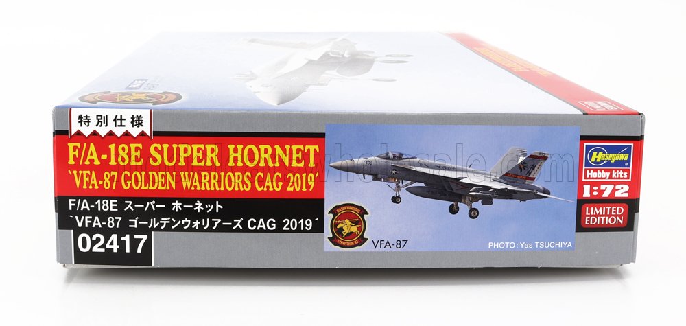 GRUMMAN | F/A-18E SUPER HORNET VFA-87 GOLDEN WARRIORS CAG AIRPLANE MILITARY  2019 | /