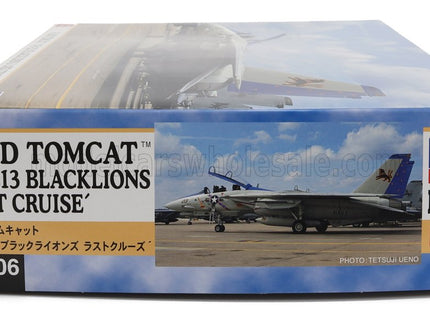 GRUMMAN | F-14D TOMCAT VF-213 BLACKLIONS LAST CRUISE MILITARY AIRPLANE 1974 | /