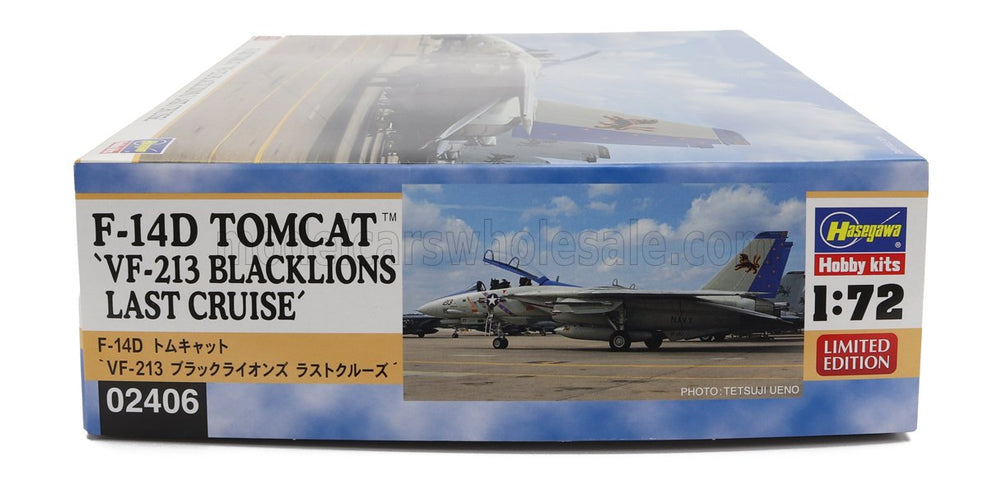 GRUMMAN | F-14D TOMCAT VF-213 BLACKLIONS LAST CRUISE MILITARY AIRPLANE 1974 | /