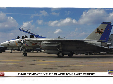 GRUMMAN | F-14D TOMCAT VF-213 BLACKLIONS LAST CRUISE MILITARY AIRPLANE 1974 | /