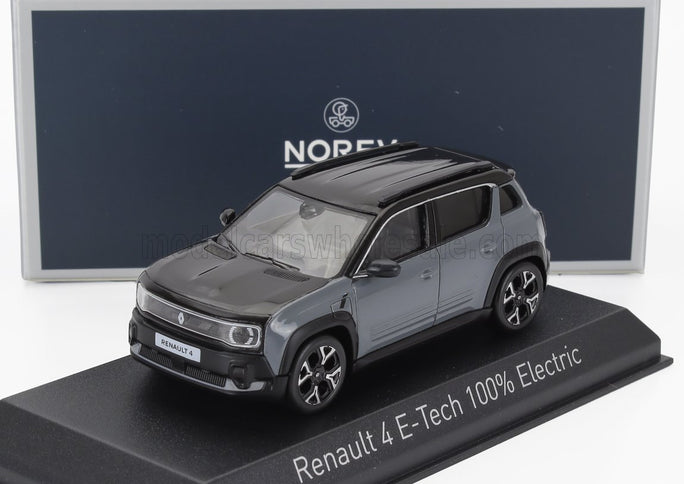 RENAULT | R4 E-TECH 2025 | GREY